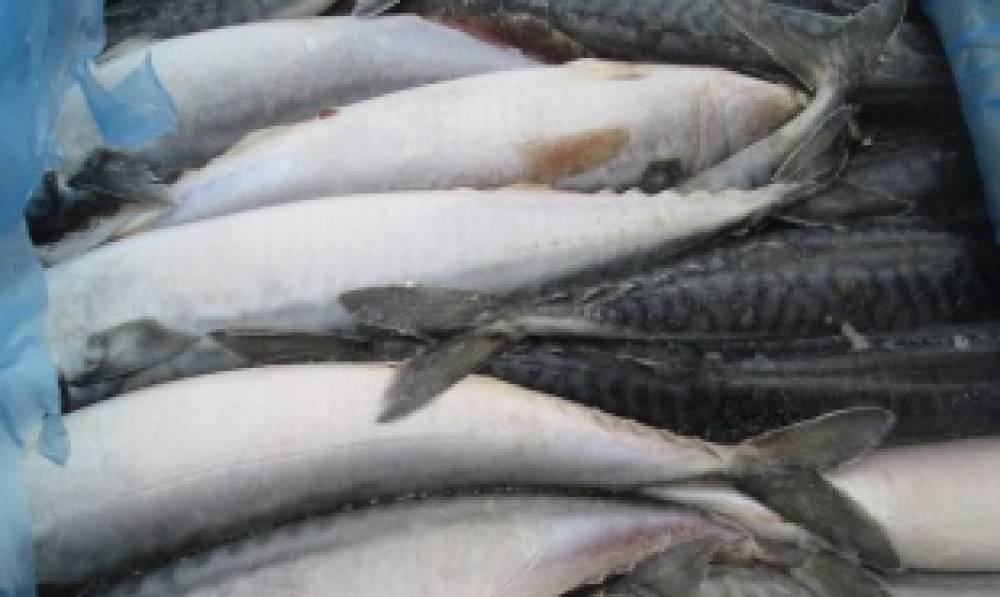 Гражданин Польши пытался вывезти из России 150 килограмм незадекларированной рыбы - wvw.daily-inform.ru - Россия - Польша - Багратионовск