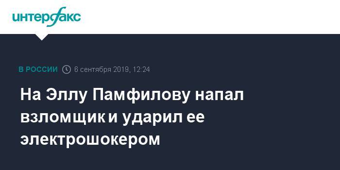 Элла Памфилова - На Эллу Памфилову напал взломщик и ударил ее электрошокером - interfax.ru - Москва - Московская обл. - Московская область