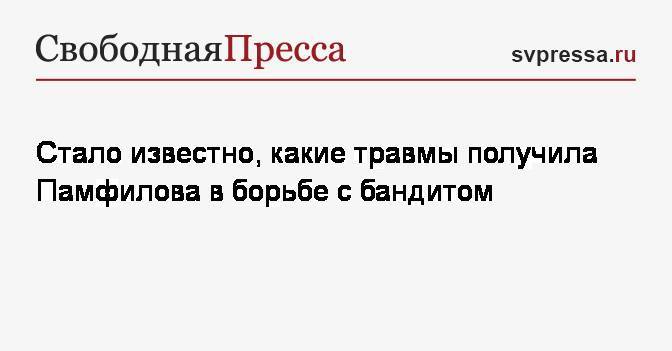 Элла Памфилова - Стало известно, какие травмы получила Памфилова в борьбе с бандитом - svpressa.ru - Россия