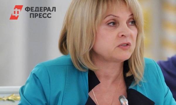 Элла Памфилова - СК возбудил дело о нападении на дом Памфиловой - fedpress.ru - Москва - Россия