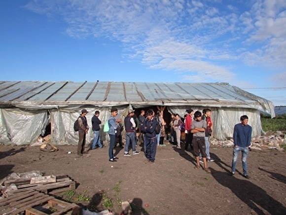 В тепличном хозяйстве в Челябинской области обнаружены нелегальные мигранты из Китая - znak.com - Китай - район Каслинский