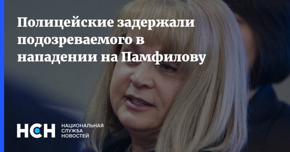 Элла Памфилова - Ирина Волк - Полицейские задержали подозреваемого в нападении на Памфилову - nsn.fm - Россия - Московская обл.