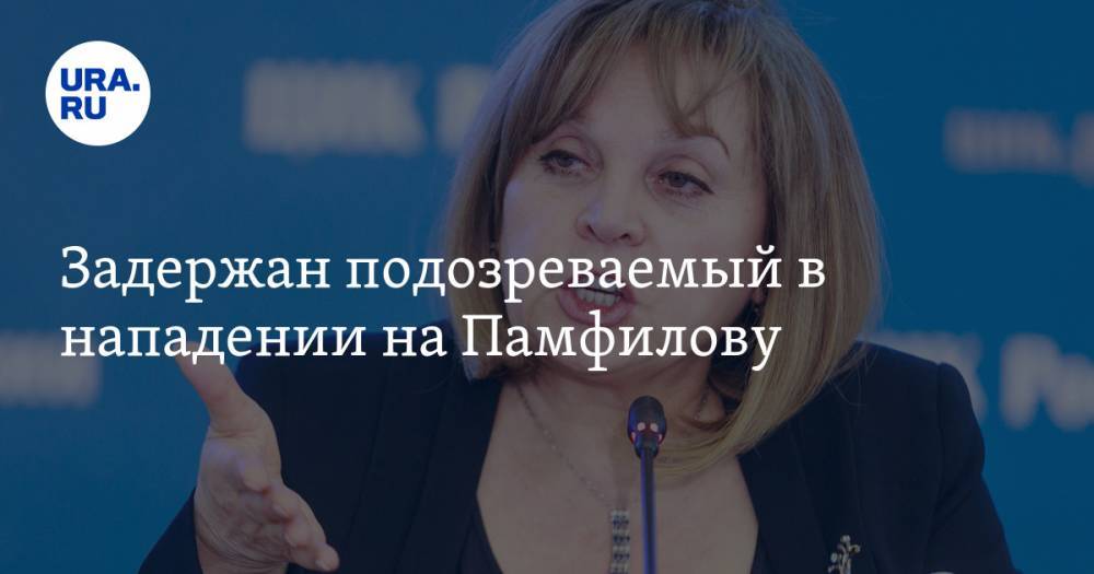 Элла Памфилова - Задержан подозреваемый в нападении на Памфилову - ura.news - Московская обл. - район Истринский