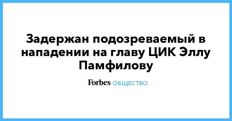 Элла Памфилова - Ирина Волк - Задержан подозреваемый в нападении на главу ЦИК Эллу Памфилову - forbes.ru - Московская обл.