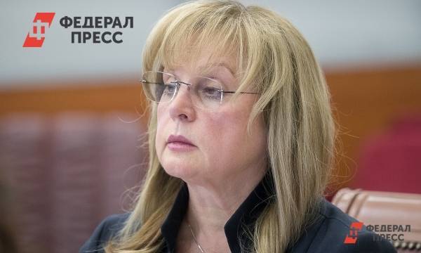 Элла Памфилова - СК: на Памфилову напал голодный безработный - fedpress.ru - Москва - Казахстан