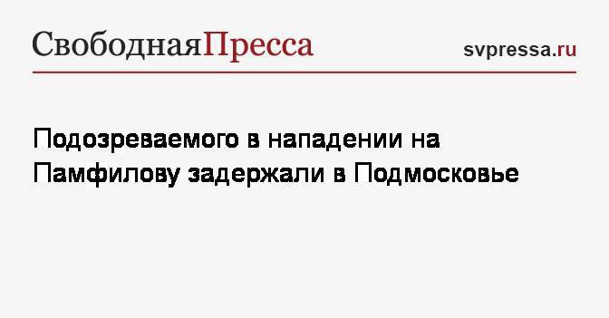 Элла Памфилова - Подозреваемого в нападении на Памфилову задержали в Подмосковье - svpressa.ru - Россия - Московская обл.