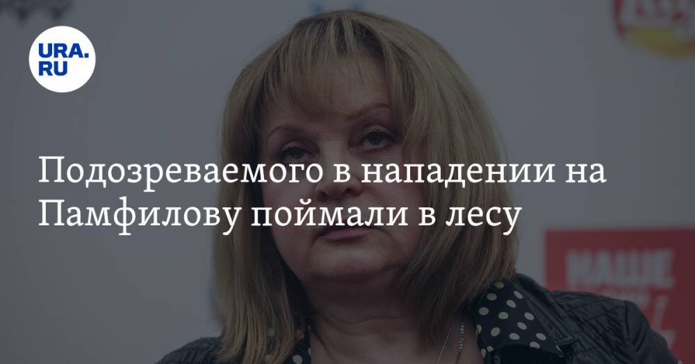 Элла Памфилова - Подозреваемого в нападении на Памфилову поймали в лесу - ura.news - Россия - Казахстан