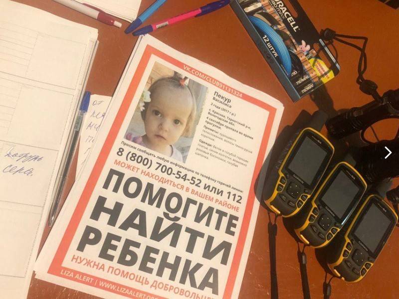 На мать пропавшей в лесу Вологодской области девочки завели уголовное дело - news.ru - Россия