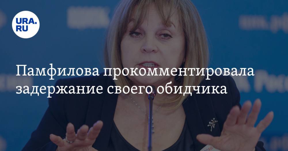 Элла Памфилова - Памфилова прокомментировала задержание своего обидчика - ura.news - Россия