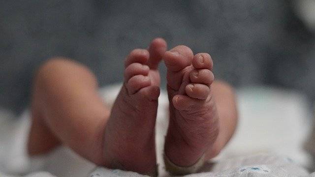 В США женщина дважды за год родила близнецов - gazeta.a42.ru - США