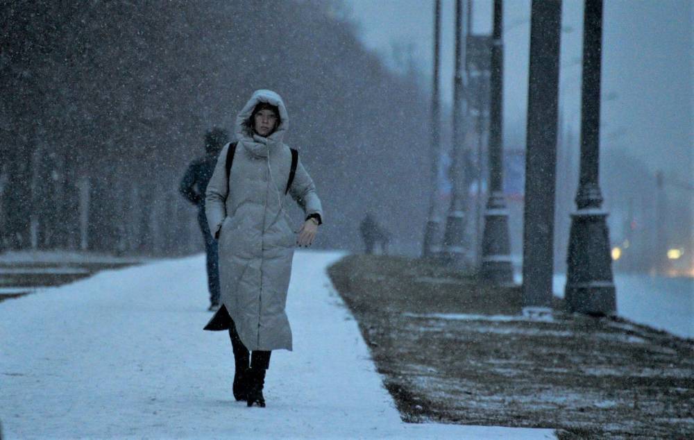 Облачная погода и снег ожидаются в столице 11 января - vm.ru - Москва - Московская обл.