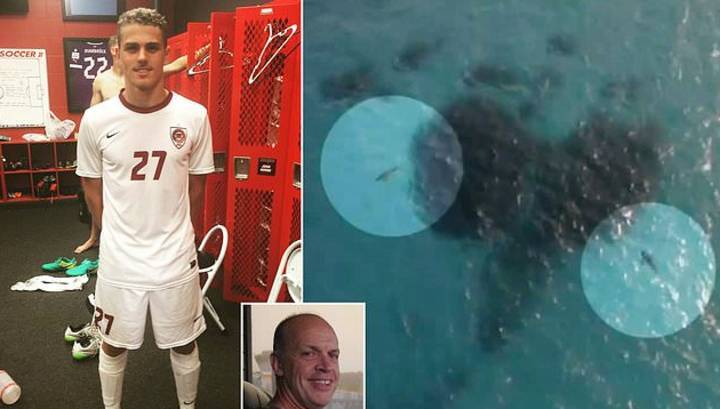 Обглоданное акулами тело футболиста вынесло на берег - vesti.ru - Australia