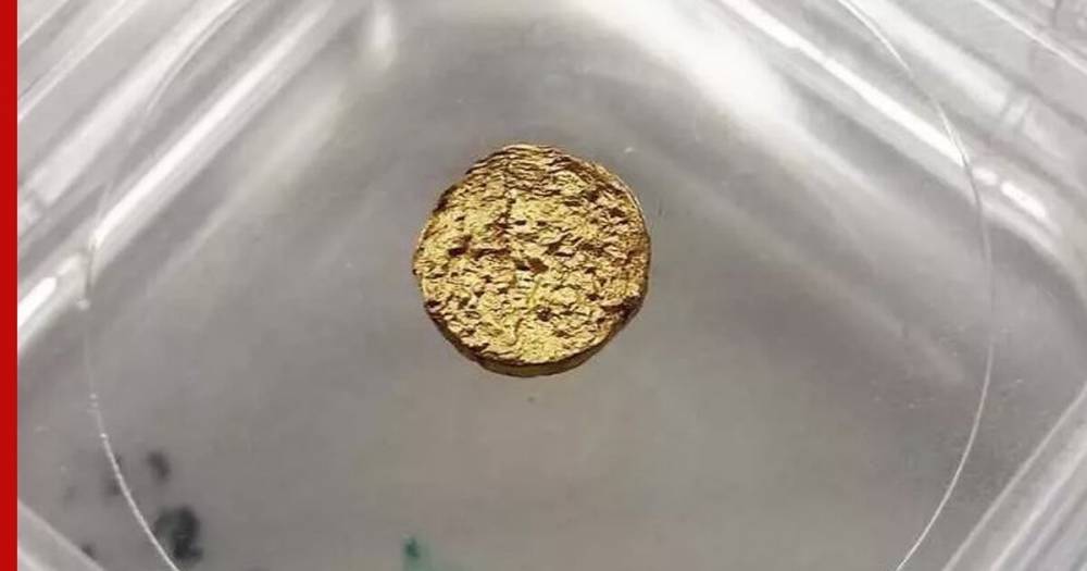 Учёные создали пластиковую композицию с настоящим золотом - profile.ru - Швейцария