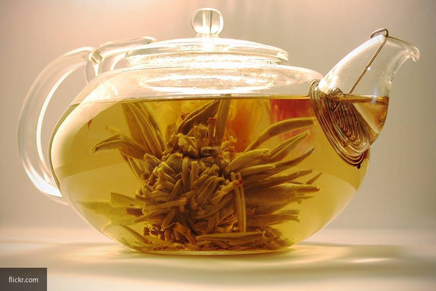 Ученые выяснили, что люди, пьющие зеленый чай, живут дольше - newinform.com - Китай