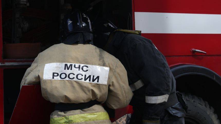 Семья из трех человек погибла при пожаре в Курганской области - 5-tv.ru - Курганская обл. - район Шадринский