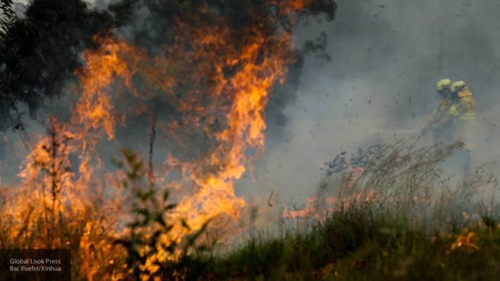 Скотт Моррисон - Для расследования причин лесных пожаров в Австралии власти страны создадут комиссию - newinform.com - Австралия - Того