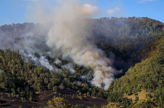 Алексей Кокорин - Эксперт рассказал, как пожары в Австралии повлияют на планету - pnp.ru - Австралия