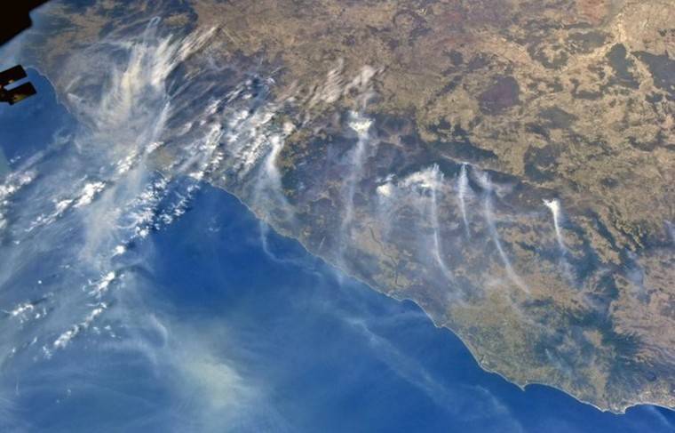 Алексей Кокорин - Влияние австралийских пожаров на климат обозначили учёные - news.ru