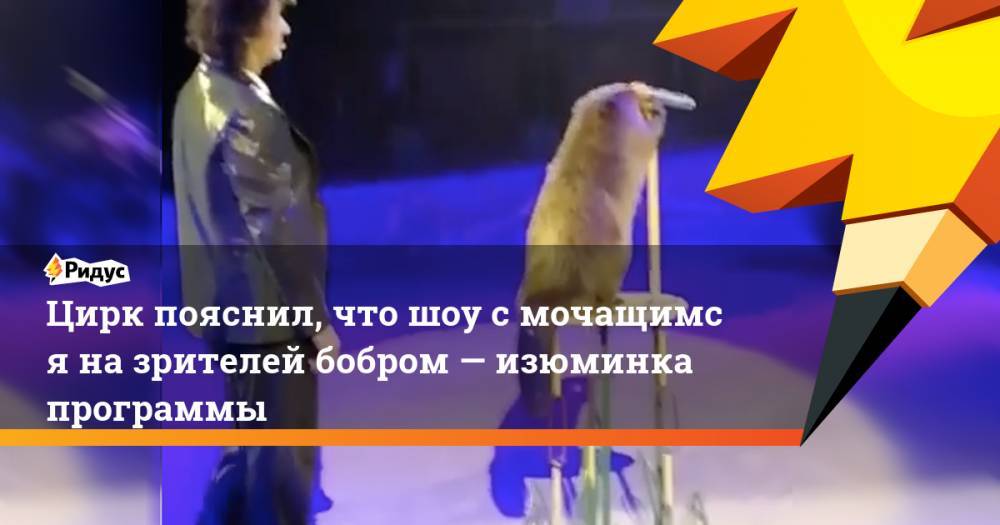 Артем Ткаченко - Цирк пояснил, что шоу смочащимся назрителей бобром— изюминка программы - ridus.ru - Ярославль