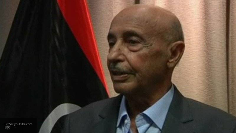 Агила Салех - Салех заявил, что результаты конференции в Берлине должны отвечать требованиям ливийцев - nation-news.ru - Турция - Ливия