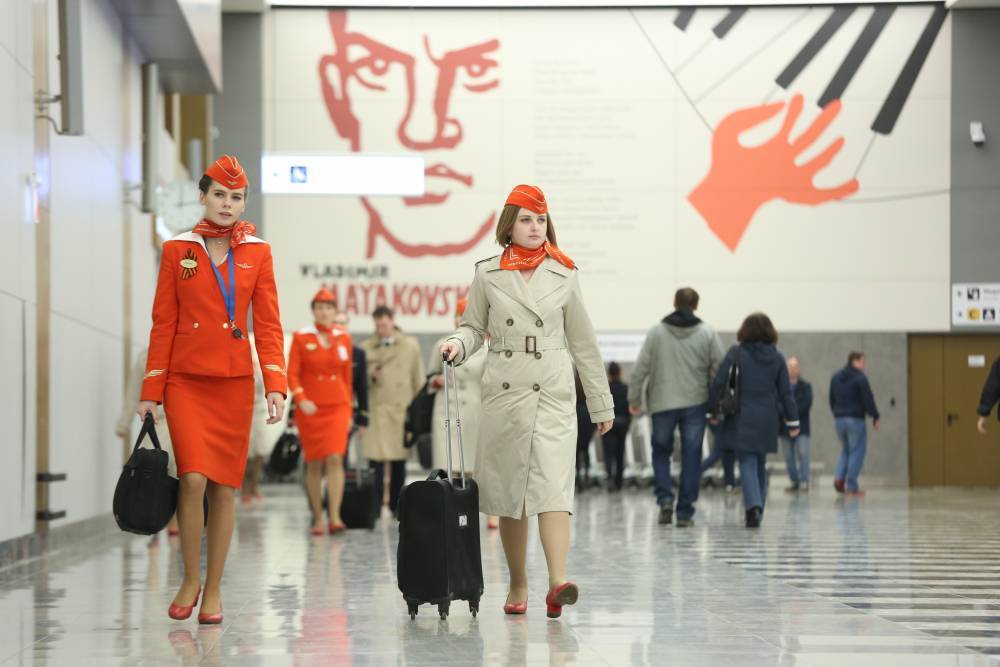 Электронную систему медосмотра сотрудников внедрят в аэропорту Шереметьево - vm.ru