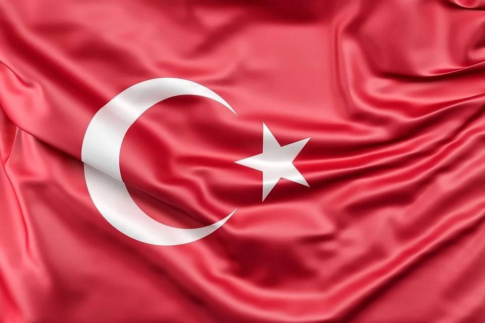Парламент Турции разрешил отправлять военных в Ливию - vm.ru - Турция - Ливия - Парламент