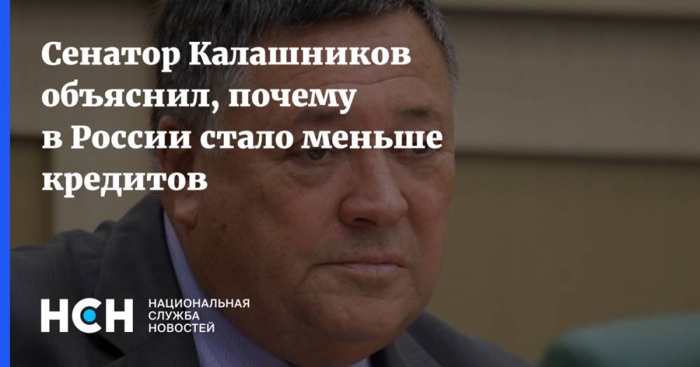 Сергей Калашников - Сенатор Калашников объяснил, почему в России стало меньше кредитов - nsn.fm