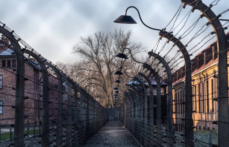 Захарова: статья польского премьера об Освенциме – самоубийство - news.ru - Россия - Польша - Варшава