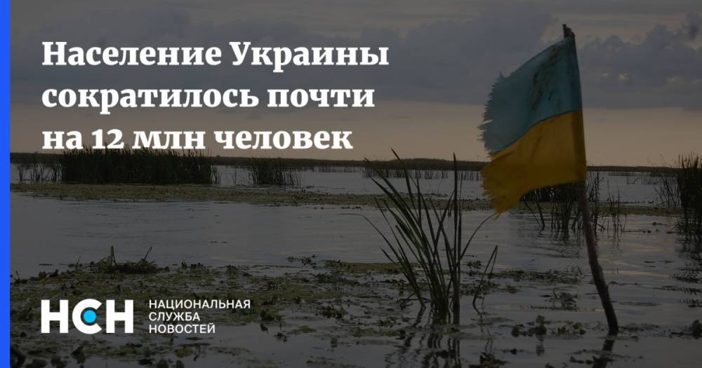 Дмитрий Дубилет - Население Украины сократилось почти на 12 млн человек - nsn.fm - Украина