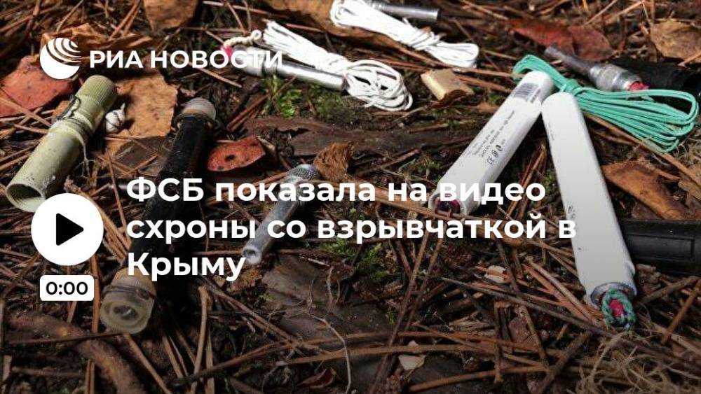 ФСБ показала на видео схроны со взрывчаткой в Крыму - ria.ru - Москва - Россия - Крым - Симферополь