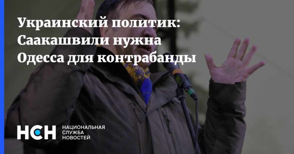 Михаил Саакашвили - Геннадий Труханов - Николай Скорик - Алексей Леонов - Украинский политик: Саакашвили нужна Одесса для контрабанды - nsn.fm - Грузия - Одесса