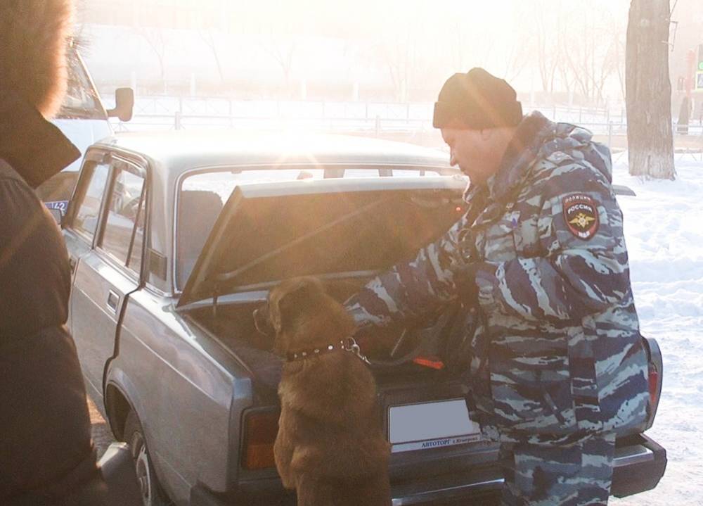 В Кемерове собака помогла полицейским задержать наркосбытчика - gazeta.a42.ru