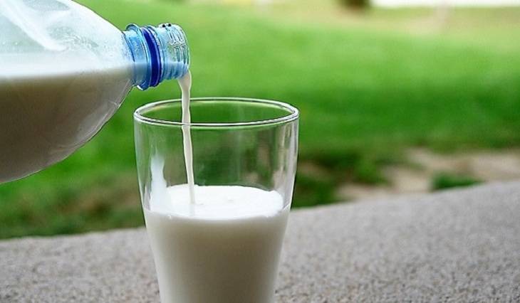 Эксперты рассказали, какое молоко может продлить молодость - mirnov.ru - США