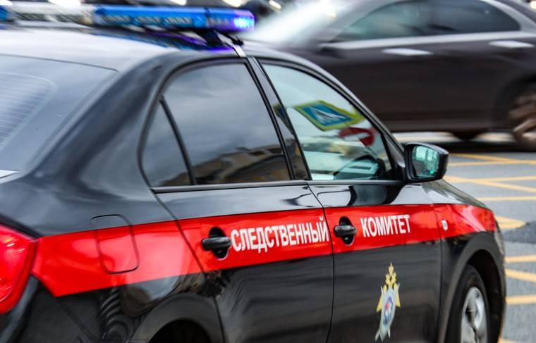 СК возбудил уголовное дело после инцидента с детьми в Шереметьево - news.ru - Хабаровский край - Хабаровск