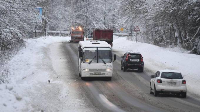 Снегопад с ветром повалил на дороги в Ленобласти почти 50 деревьев - piter.tv - Ленинградская обл.