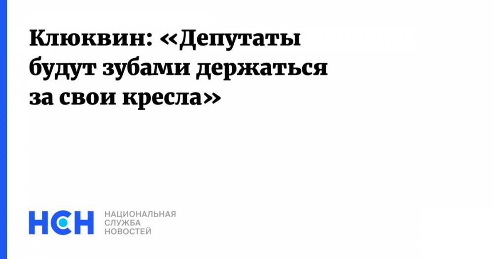 Клюквин: «Депутаты будут зубами держаться за свои кресла» - nsn.fm - Россия