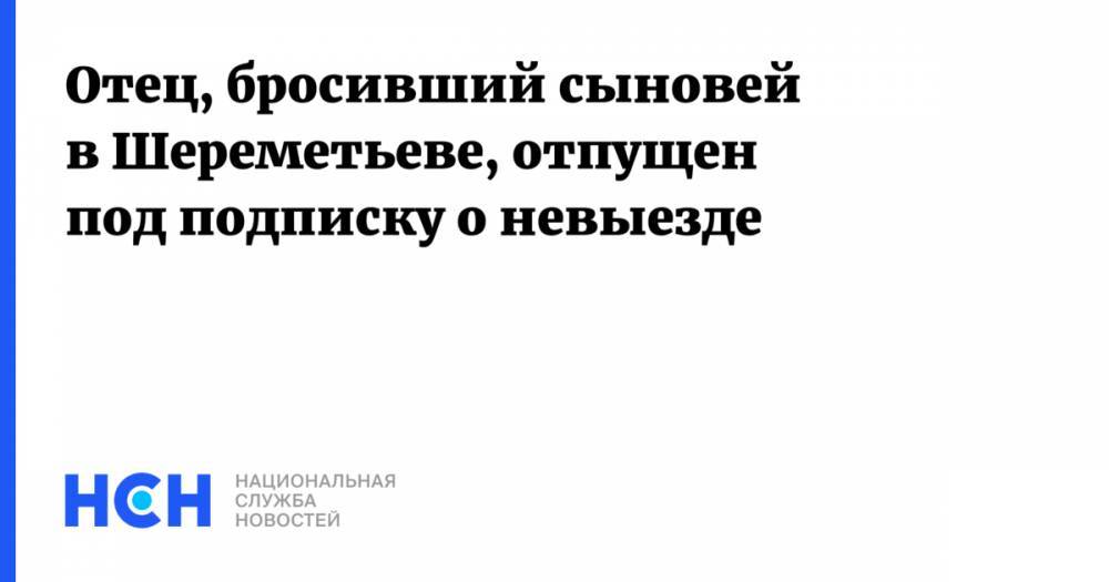 Виктор Гаврилов - Отец, бросивший сыновей в Шереметьеве, отпущен под подписку о невыезде - nsn.fm - Москва - Ростов-На-Дону - Ростовская обл. - Хабаровск - Батайск