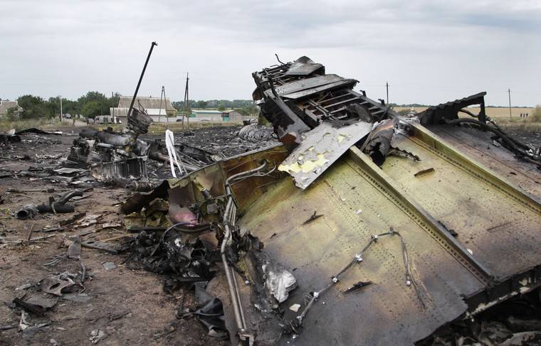 Йозеф Реш - Свидетелем по делу MH17 готов стать частный детектив из Германии - news.ru - Гаага