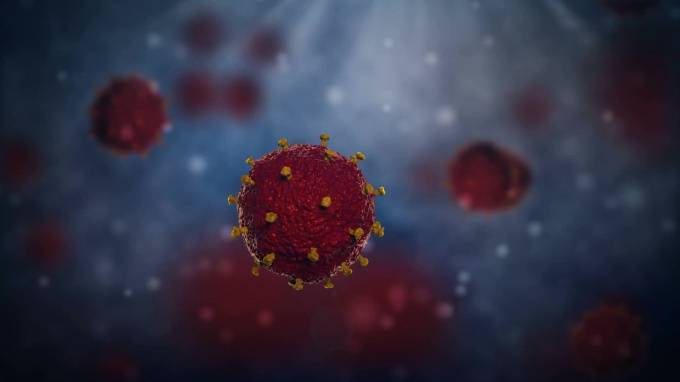 В Австралии создали копию китайского коронавируса - piter.tv - Китай - Австралия