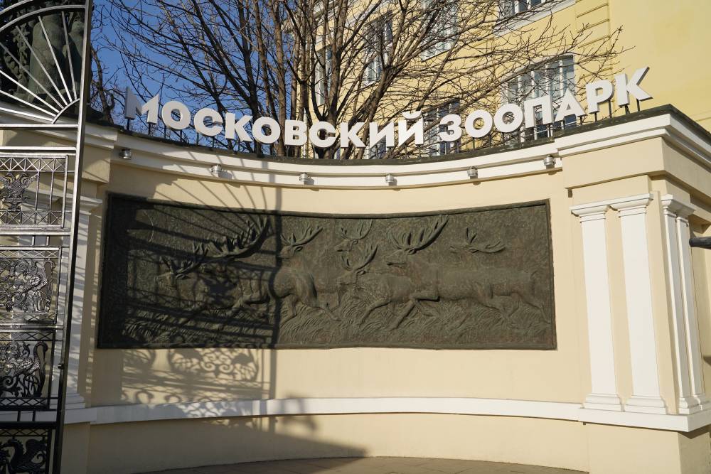 Лекции про не засыпающих зимой зверей пройдут в Московском зоопарке - vm.ru