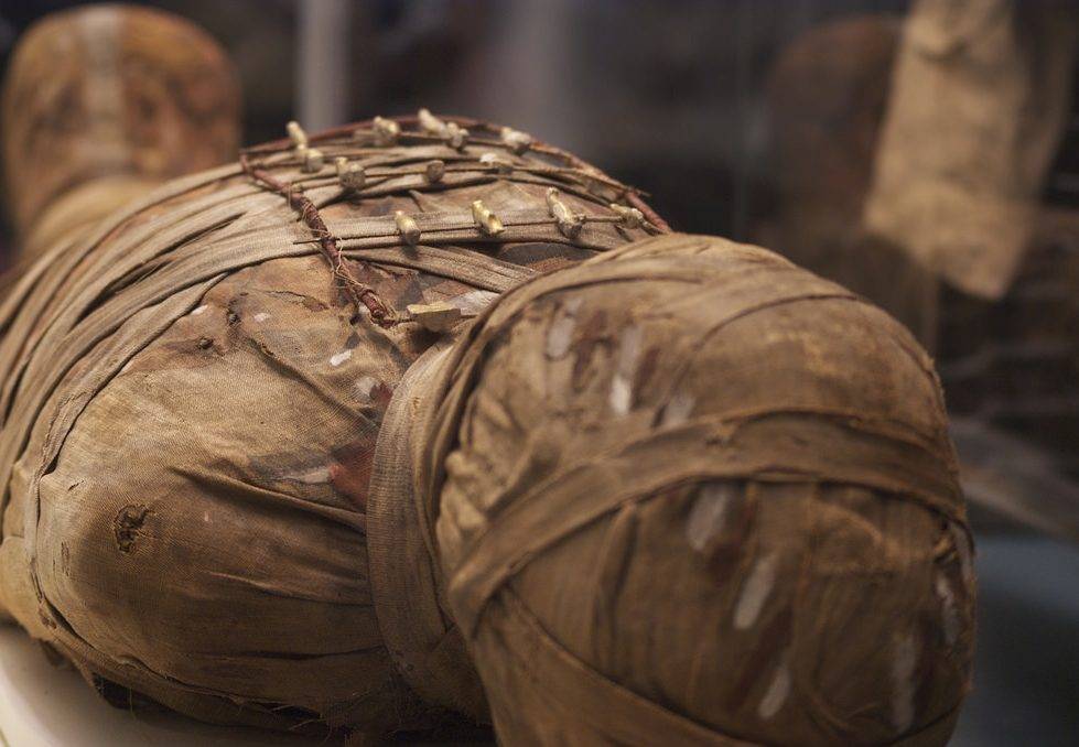 В 500-летних мумиях нашли современную болезнь - Cursorinfo: главные новости Израиля - cursorinfo.co.il