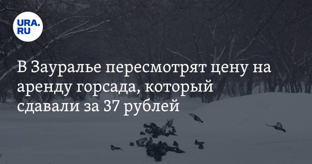 Вадим Шумков - В Зауралье пересмотрят цену на аренду горсада, который сдавали за 37 рублей - ura.news - Курганская обл. - Шадринск