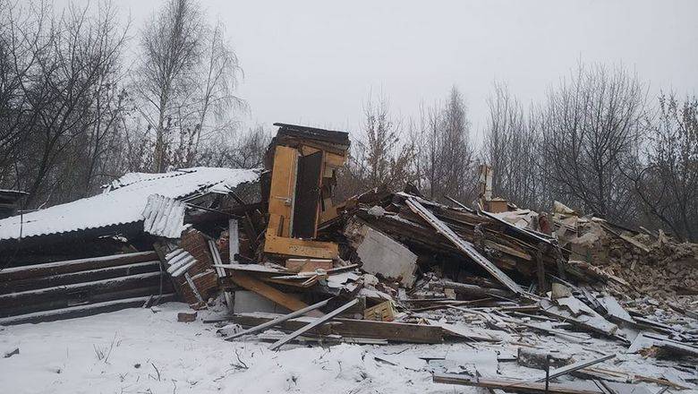 Ад в Терехово: последнюю московскую деревню рушат, не жалея ни людей, ни зверей - newizv.ru - Москва