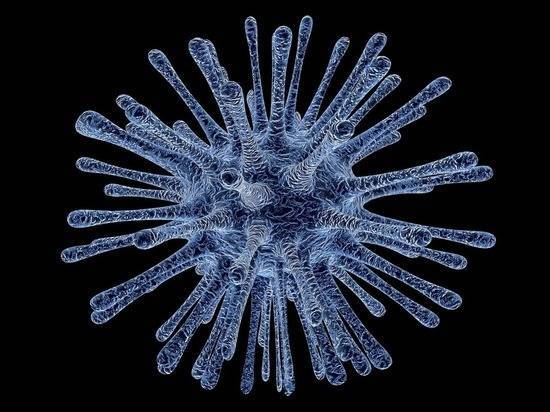 Игорь Никулин - «Американское биологическое оружие»: эксперт предположил необычное происхождение коронавируса - newtvnews.ru - Китай - Ухань