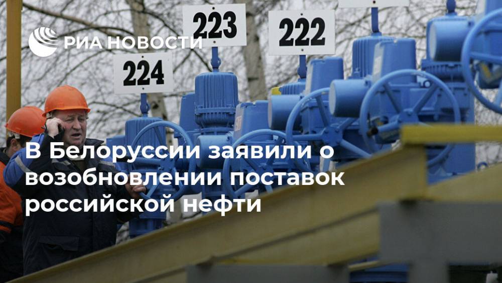 Владимир Сизов - Игорь Демин - В Белоруссии заявили о возобновлении поставок российской нефти - ria.ru - Москва - Белоруссия