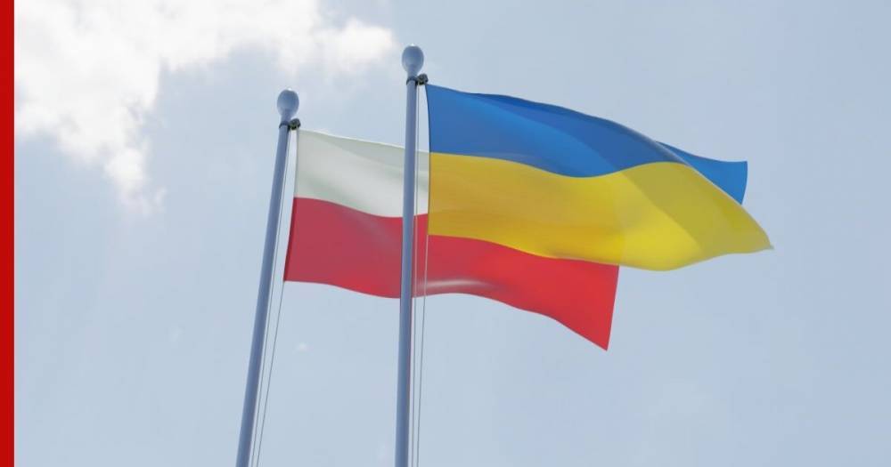 Лион Джоэль - Екатерина Зеленко - Посольство Польши на Украине резко ответило на заявления МИД о Бандере - profile.ru - Украина - Израиль - Польша
