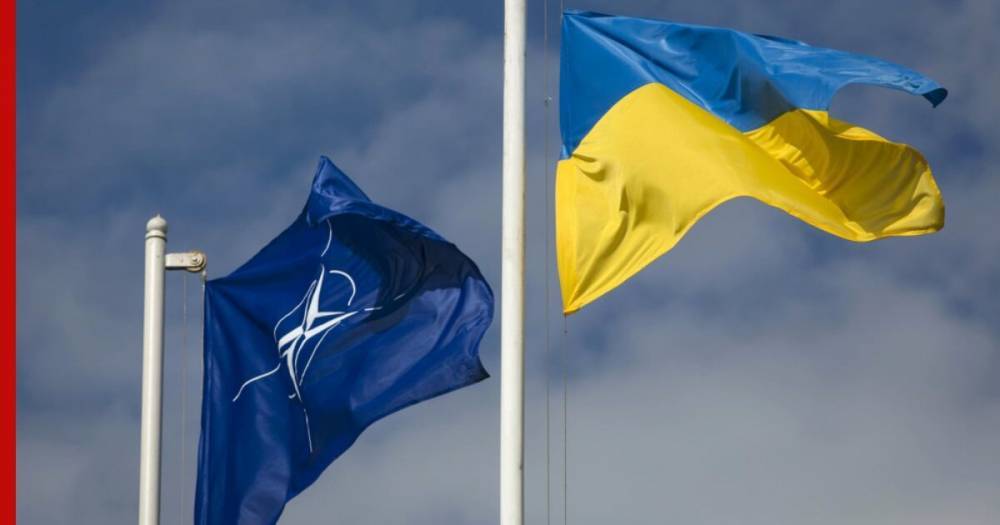 Кондолиза Райс - Экс-глава МИД Украины оценил шансы вступления страны в НАТО - profile.ru - США - Украина