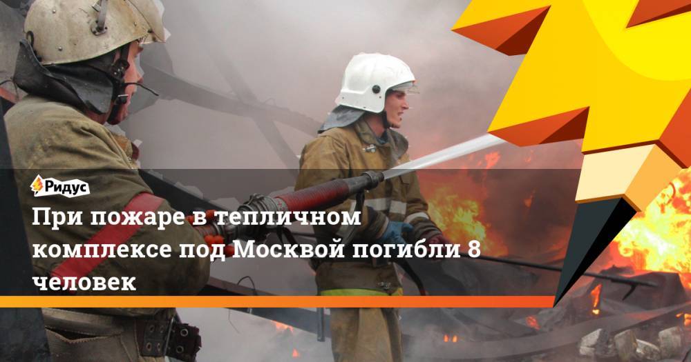 При пожаре в тепличном комплексе под Москвой погибли 8 человек - ridus.ru - Московская обл. - р-н Раменский
