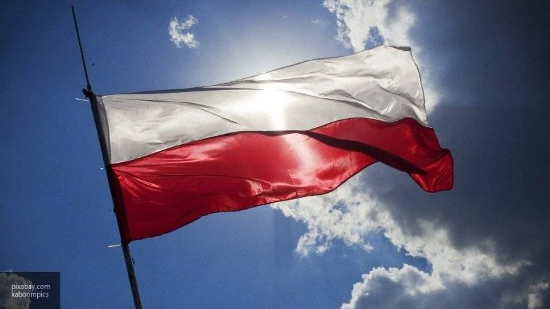 Павел Данилин - Nation News - Польша хочет законодательно скрыть свои "исторические скелеты в шкафу", заявил политолог - nation-news.ru - Россия - Польша
