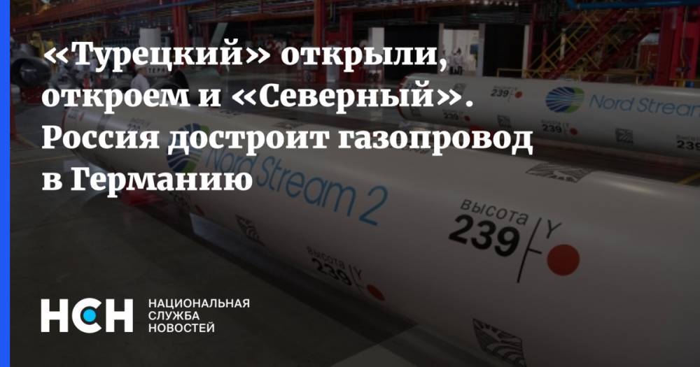 Сергей Правосудов - «Турецкий» открыли, откроем и «Северный». Россия достроит газопровод в Германию - nsn.fm - Россия - Находка